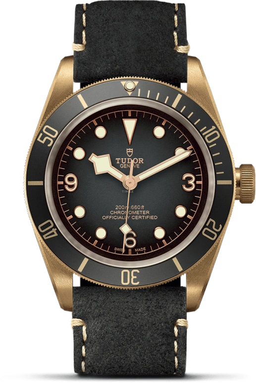 Tudor,Black Bay 43mm,43mm,Bronze,Stainless Steel,Grey,Automatic,70hours,In-house Caliber,79250BA,79250BA-0001