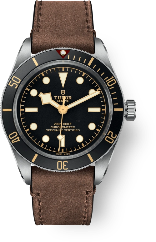 Tudor Black Bay 58