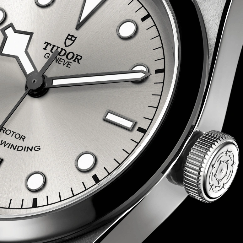 Tudor,Black Bay 31-36-39-41 41mm,41mm,Stainless Steel,Silver,Automatic,42hours,In-house Caliber,79540,79540-0013