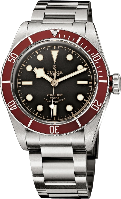 Tudor Black Bay