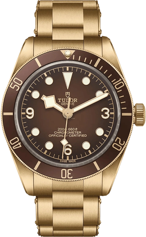 Tudor,Black Bay 58 39mm,39mm,Bronze,Brown,Automatic,70hours,In-house Caliber,79012M,79012M-0001