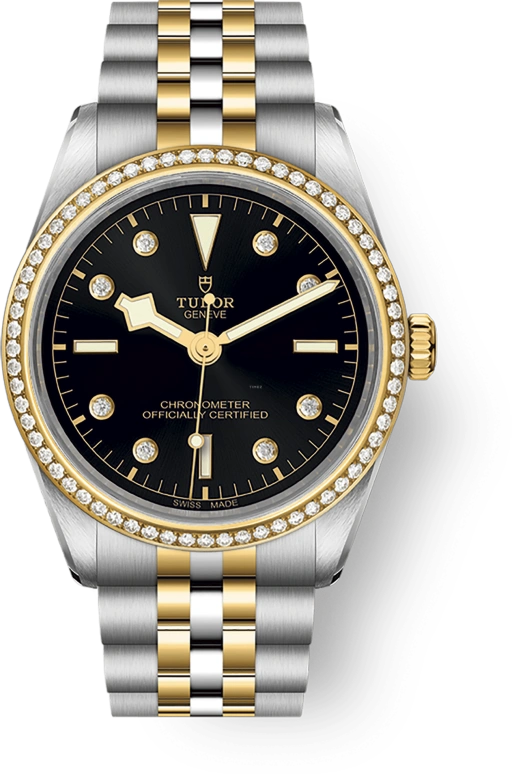 Tudor Black Bay 31-36-39-41