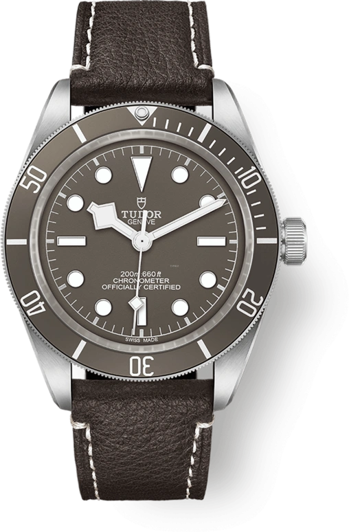 Tudor Black Bay 58