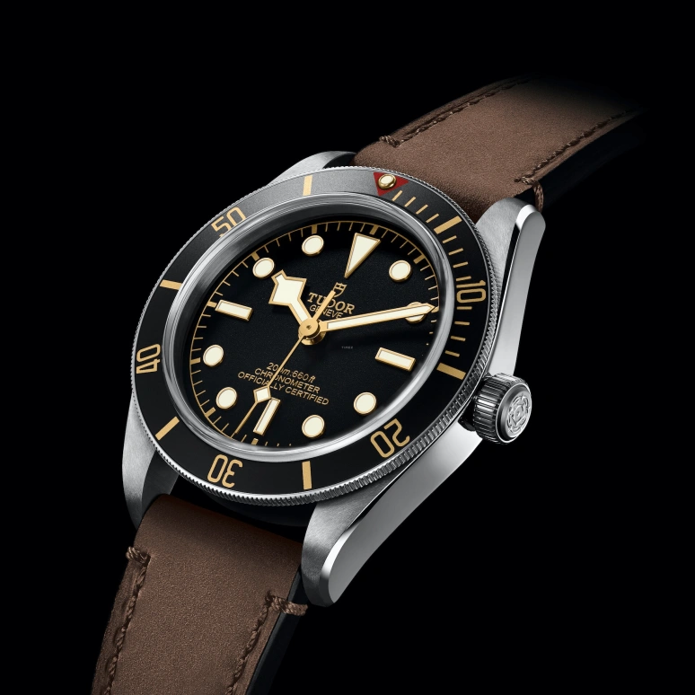 Tudor,Black Bay 58 39mm,39mm,Stainless Steel,Black,Automatic,70hours,In-house Caliber,79030N,79030N-0002