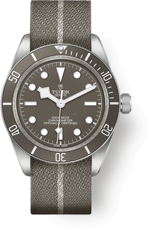 Tudor Black Bay 58