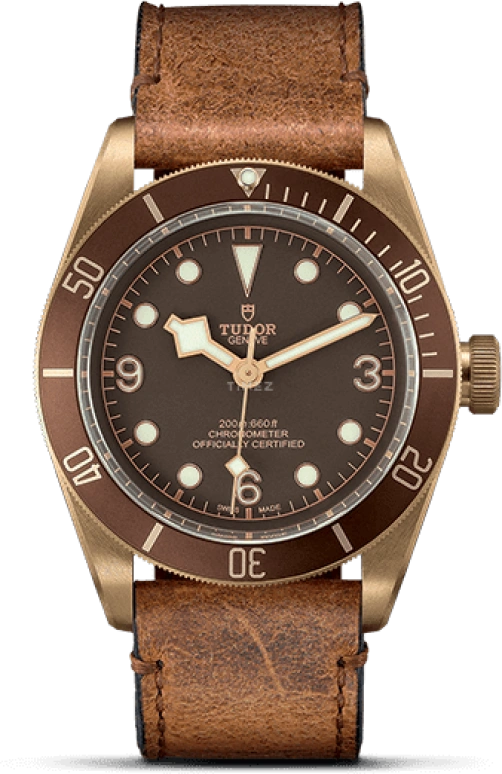 Tudor Black Bay