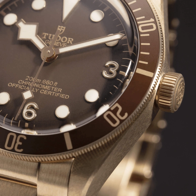 Tudor,Black Bay 58 39mm,39mm,Bronze,Brown,Automatic,70hours,In-house Caliber,79012M,79012M-0001