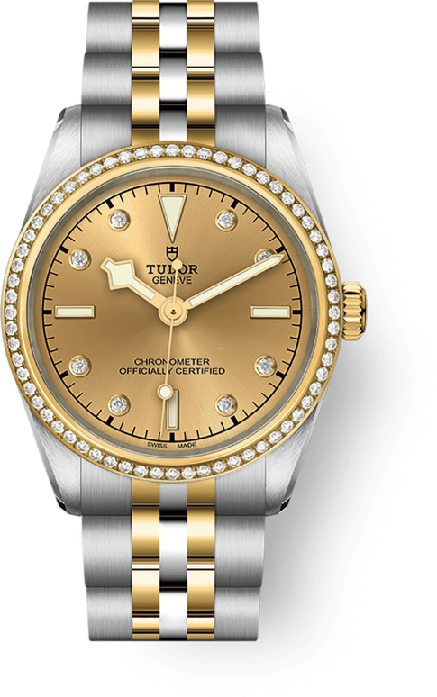 Tudor Black Bay 31-36-39-41 79613-0007