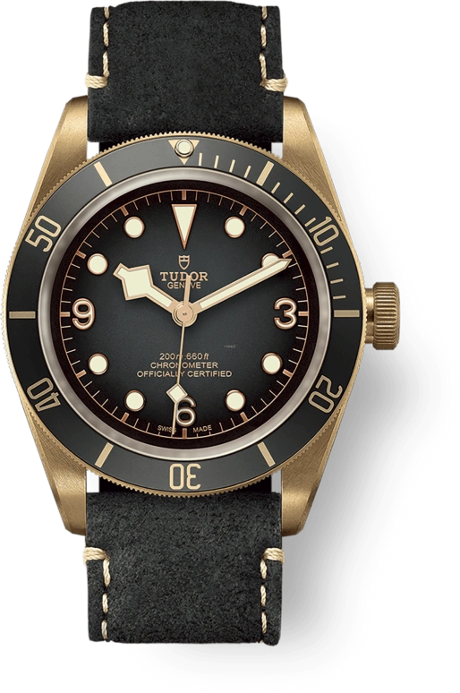 Tudor Black Bay