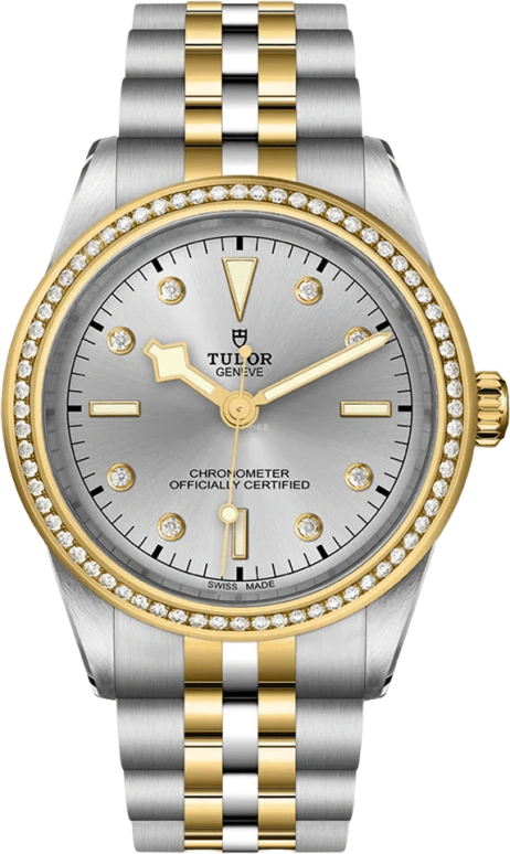 Tudor,Black Bay 31-36-39-41 39mm,39mm,Yellow Gold,Stainless Steel,Silver,Automatic,70hours,In-house Caliber,79673,79673-0006