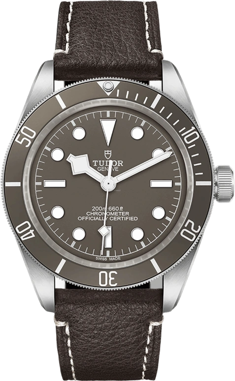 Tudor,Black Bay 58 39mm,39mm,Silver,Grey,Automatic,70hours,In-house Caliber,79010SG,79010SG-0001