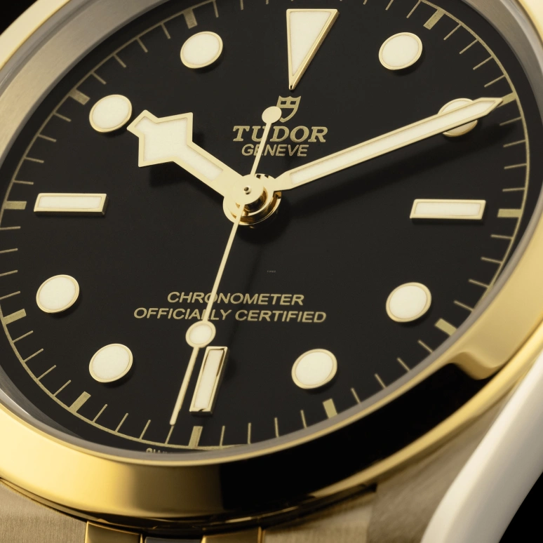 Tudor,Black Bay 31-36-39-41 41mm,41mm,Yellow Gold,Stainless Steel,Black,Automatic,70hours,In-house Caliber,79683,79683-0001
