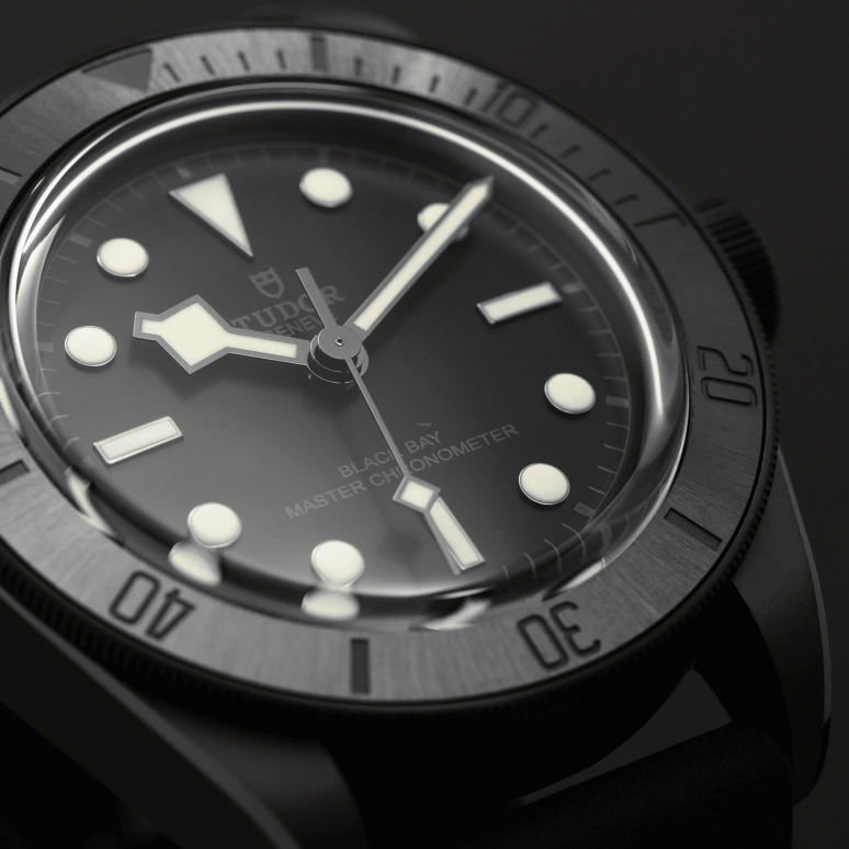 Tudor,Black Bay 41mm,41mm,Ceramic,Stainless Steel,Black,Automatic,70hours,In-house Caliber,79210CNU,79210CNU-0001