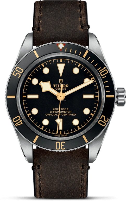 Tudor,Black Bay 58 39mm,39mm,Stainless Steel,Black,Automatic,70hours,In-house Caliber,79030N,79030N-0002