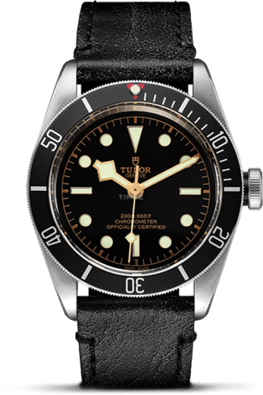 Tudor Black Bay