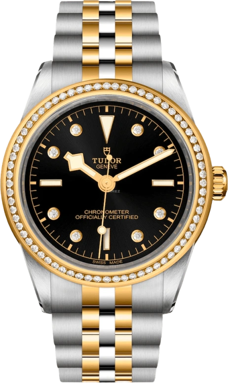 Tudor,Black Bay 31-36-39-41 39mm,39mm,Yellow Gold,Stainless Steel,Black,Automatic,70hours,In-house Caliber,79673,79673-0005