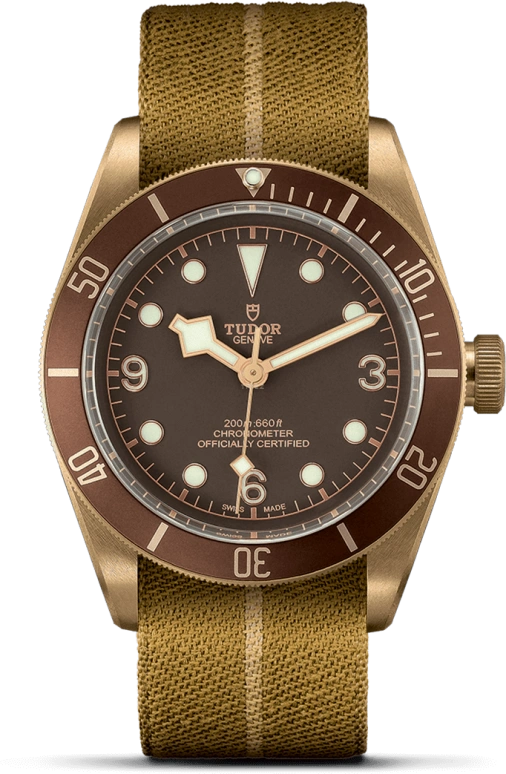 Tudor Black Bay