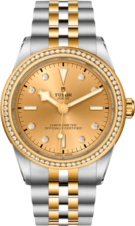 Tudor,Black Bay 31-36-39-41 39mm,39mm,Yellow Gold,Stainless Steel,Champagne,Automatic,70hours,In-house Caliber,79673,79673-0007