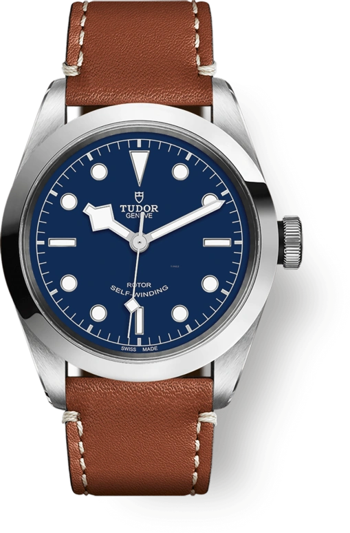 Tudor Black Bay 31-36-39-41 79540-0005