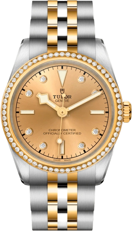 Tudor,Black Bay 31-36-39-41 31mm,31mm,Yellow Gold,Stainless Steel,Champagne,Automatic,50hours,In-house Caliber,79613,79613-0007