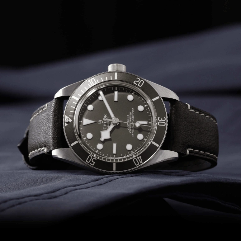 Tudor,Black Bay 58 39mm,39mm,Silver,Grey,Automatic,70hours,In-house Caliber,79010SG,79010SG-0001