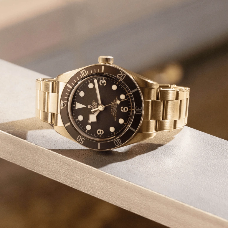 Tudor,Black Bay 58 39mm,39mm,Bronze,Brown,Automatic,70hours,In-house Caliber,79012M,79012M-0001