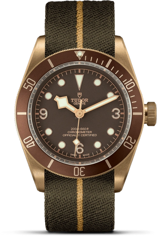 Tudor,Black Bay 43mm,43mm,Bronze,Stainless Steel,Brown,Automatic,70hours,In-house Caliber,79250BM,79250BM-0004