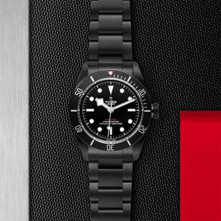 Tudor,Black Bay 41mm,41mm,Stainless Steel,Black,Automatic,70hours,In-house Caliber,79230DK,79230DK-0008