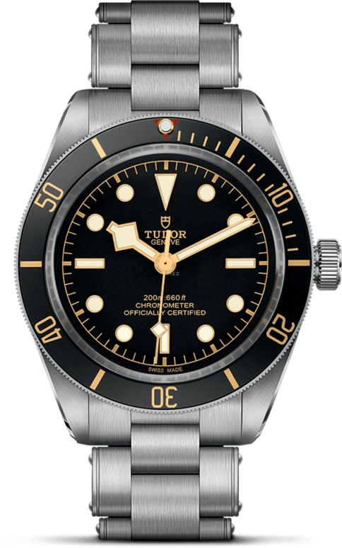 Tudor,Black Bay 58 39mm,39mm,Stainless Steel,Black,Automatic,70hours,In-house Caliber,79030N,79030N-0001