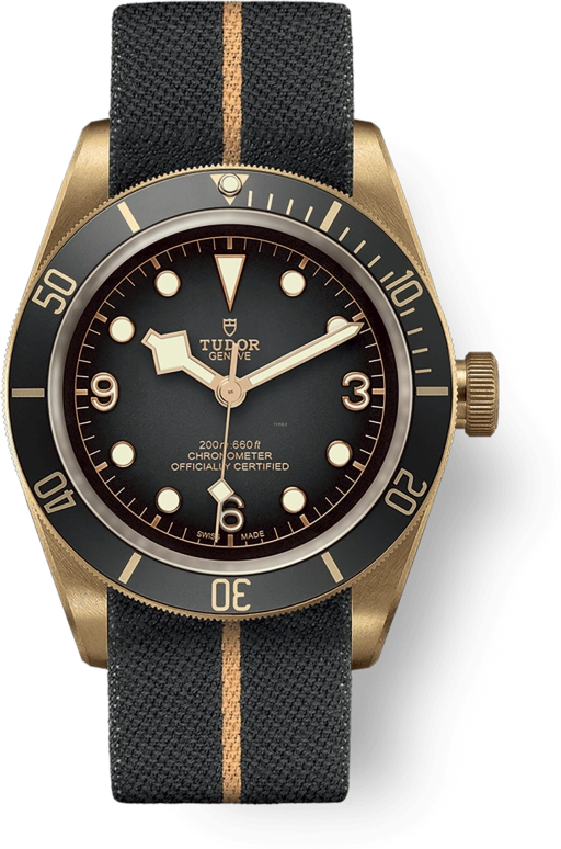 Tudor Black Bay