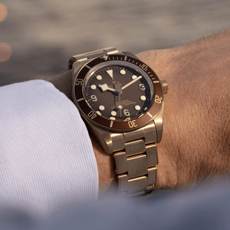 Tudor,Black Bay 58 39mm,39mm,Bronze,Brown,Automatic,70hours,In-house Caliber,79012M,79012M-0001