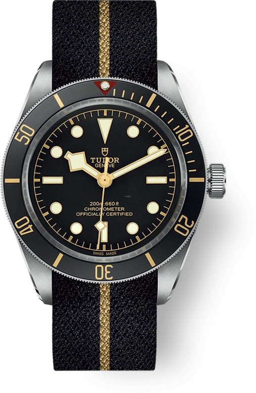 Tudor Black Bay 58