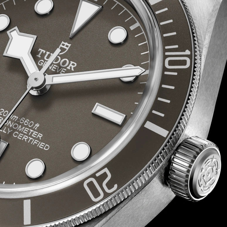 Tudor,Black Bay 58 39mm,39mm,Silver,Grey,Automatic,70hours,In-house Caliber,79010SG,79010SG-0002