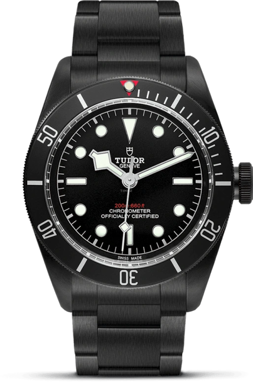 Tudor Black Bay