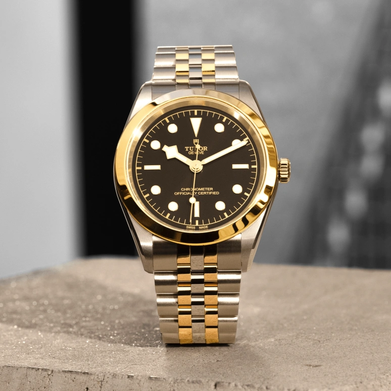 Tudor,Black Bay 31-36-39-41 41mm,41mm,Yellow Gold,Stainless Steel,Black,Automatic,70hours,In-house Caliber,79683,79683-0001