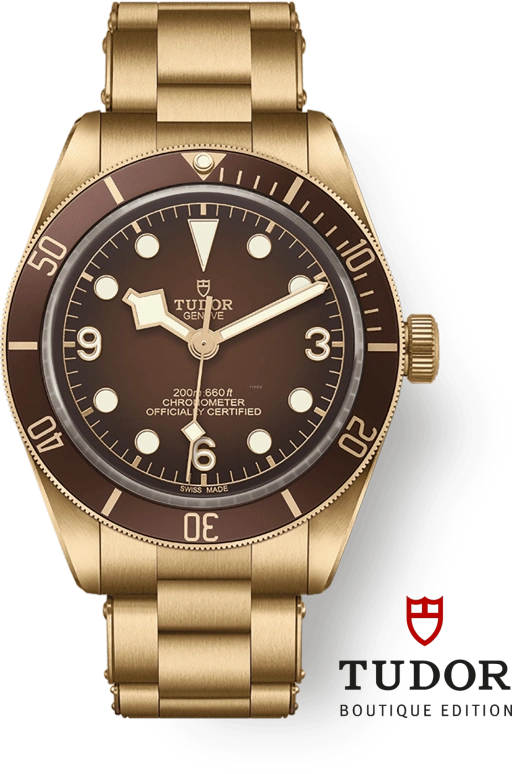 Tudor Black Bay 58