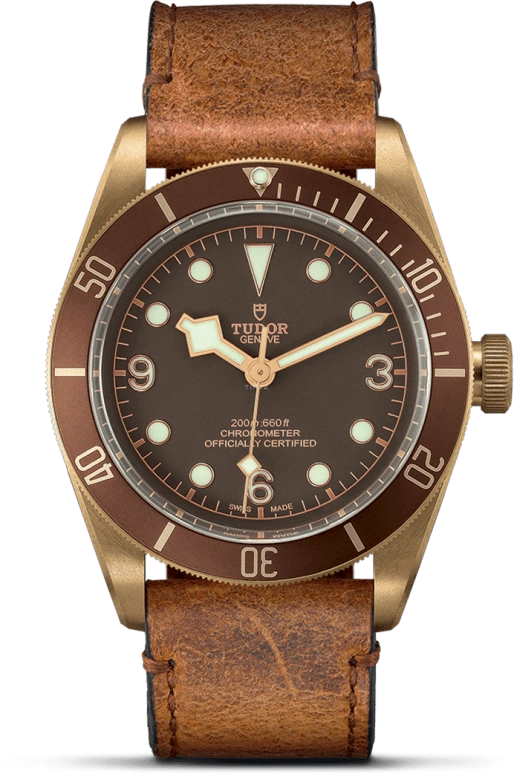 Tudor Black Bay