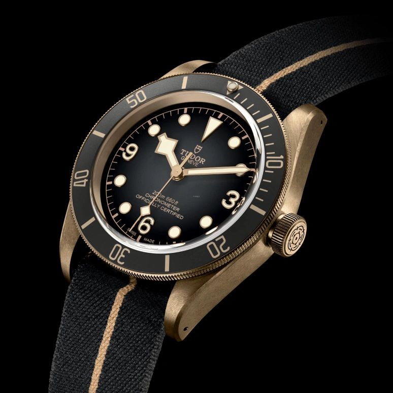 Tudor,Black Bay 43mm,43mm,Bronze,Stainless Steel,Grey,Automatic,70hours,In-house Caliber,79250BA,79250BA-0002