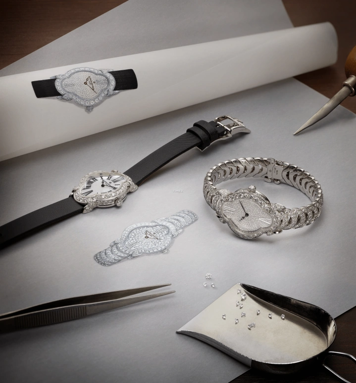 江诗丹顿,创意时光 36.20x26.50毫米,36.20x26.50毫米,白金,银色,手动上弦,38小时,自制机芯,1005J,1005J/000G-H169