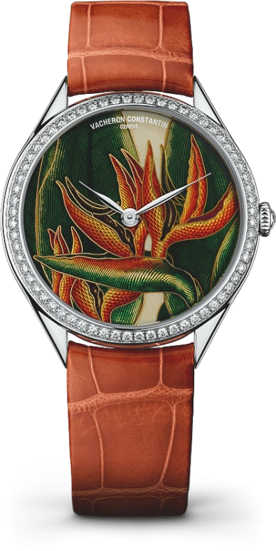 Vacheron Constantin Métiers d'Art 82550/000G-9854