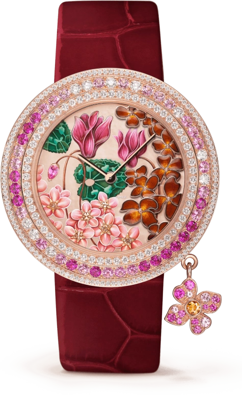 Van Cleef & Arpels Extraordinary Dials™